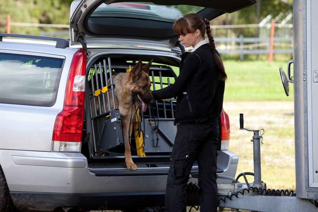 MIM Safe Variocage Double - K&J Custom Dog Crates