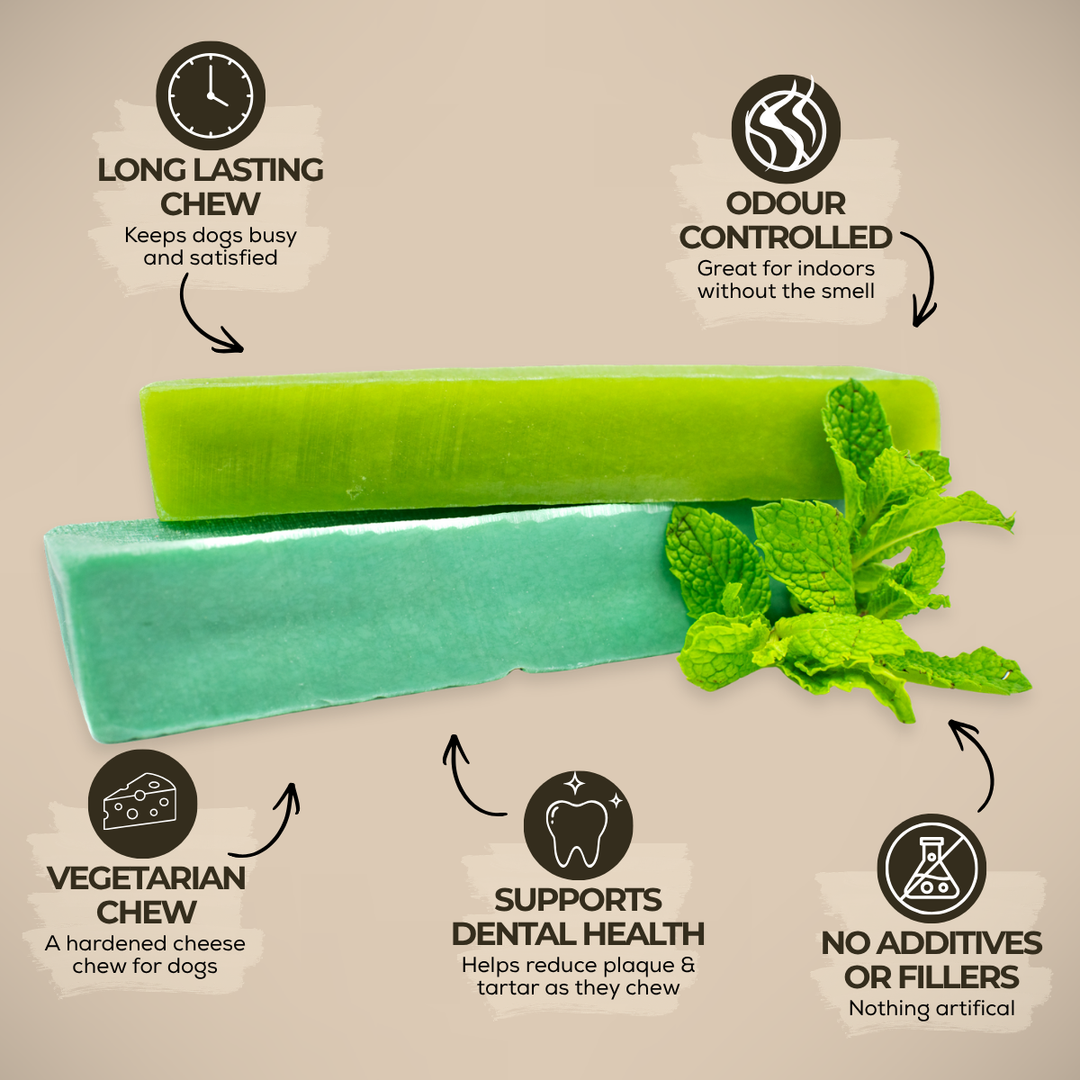 Mint Himalayan Yak Chew (MEDIUM)