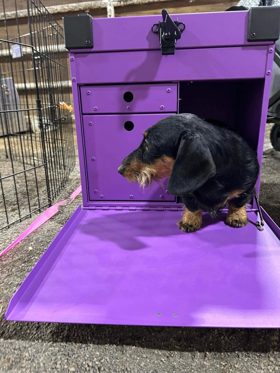 Aluminum Tack Box Canada – K&J Custom Dog Crates