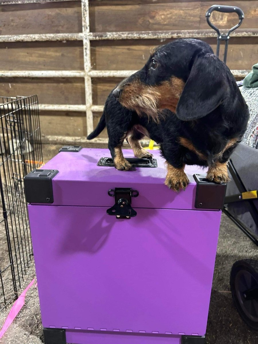 Aluminum Tack Box Canada – K&J Custom Dog Crates