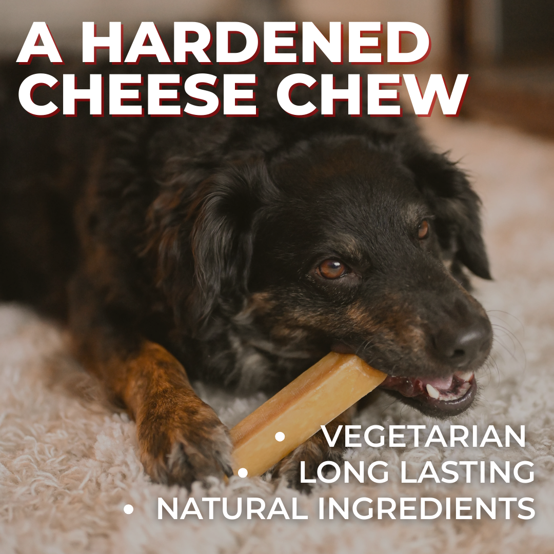 Mint Himalayan Yak Chew (MEDIUM)
