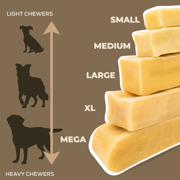 Mint Himalayan Yak Chew (MEDIUM)