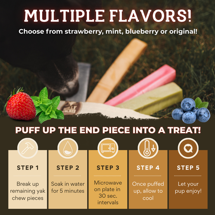 Mint Himalayan Yak Chew (MEDIUM)