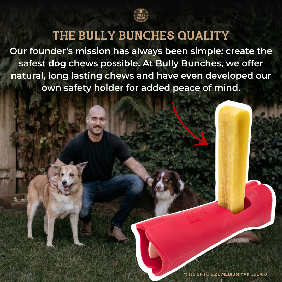 Mint Himalayan Yak Chew (MEDIUM)