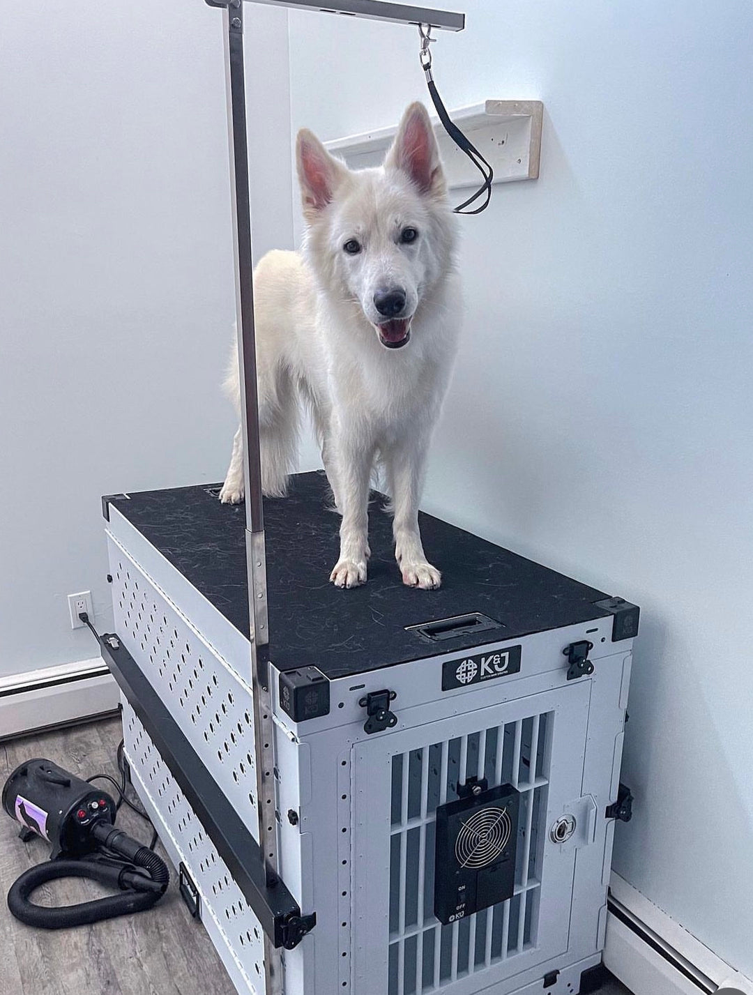 Dog Crate Accessories – K&J Custom Dog Crates