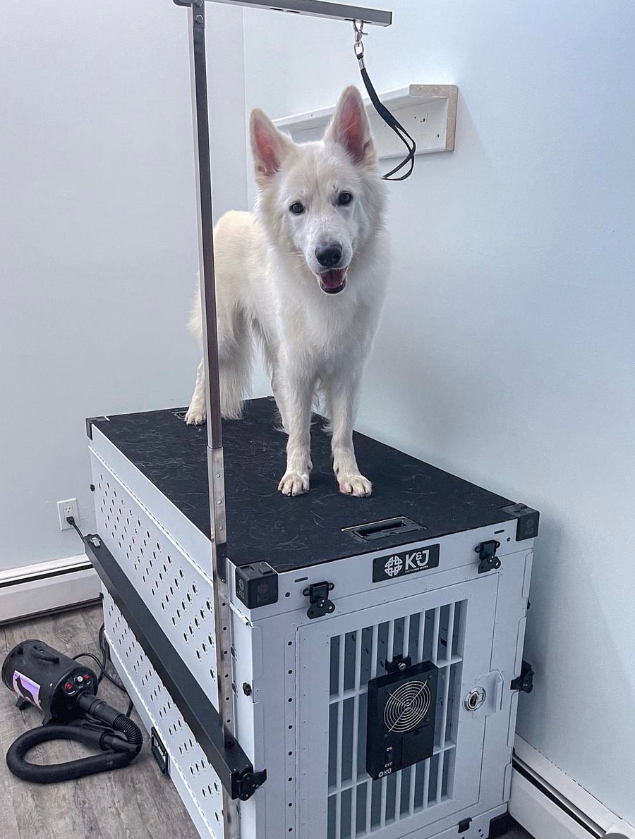 Premium Dog Crates: Air Travel Safe – K&J Custom Dog Crates - Custom Dog Crate Travel Bed