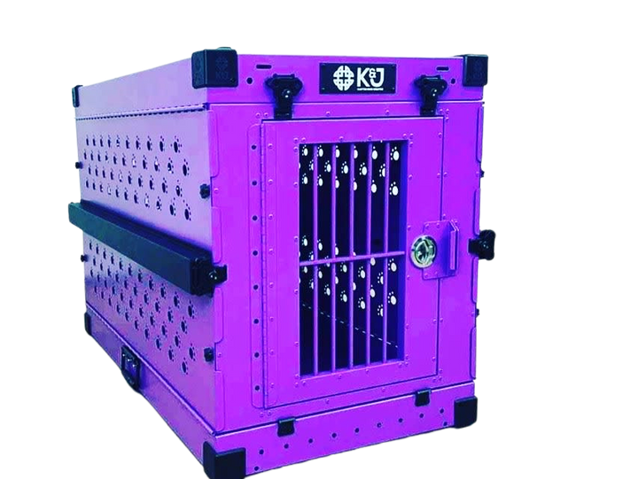 Collapsible Dog Crate, Purple, Front