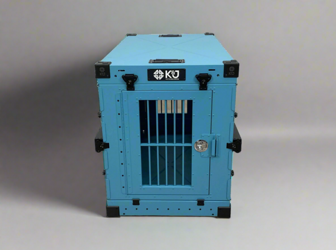 Teal dog best sale crate