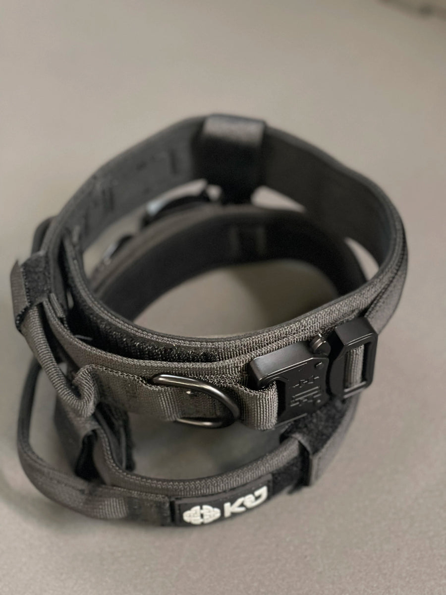 Tactical Dog Collar - K&J Custom Dog Crates